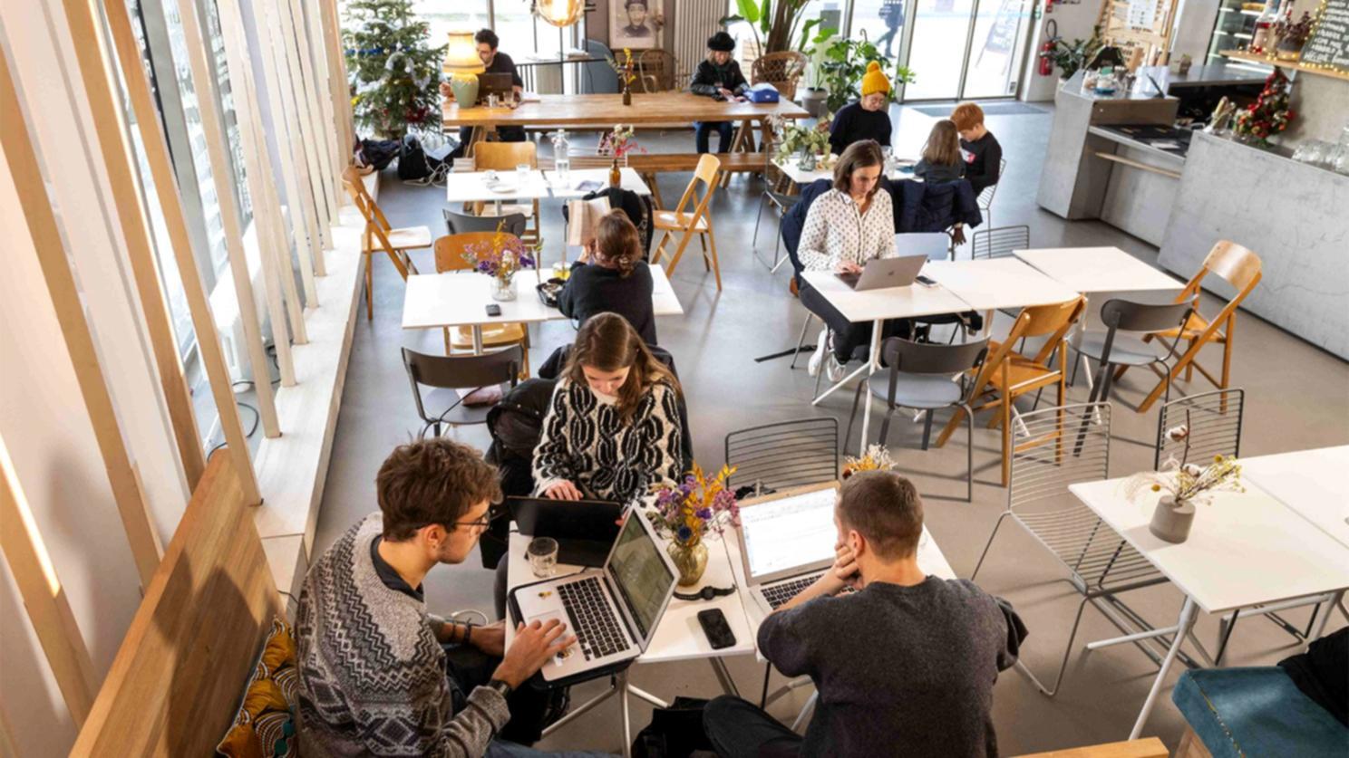 Workshop-Teilnehmer bei praktischer Keyword-Analyse